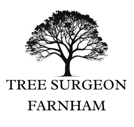tree surgeon farnham